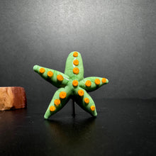 Starfish, Sea Star, Star Fish, Green Star Fish